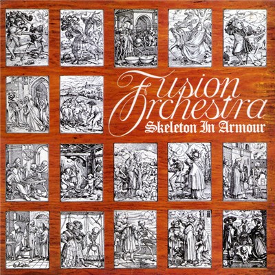 Fusion Orchestra - Skeleton In Armour download mp3 flac