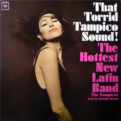 The Tampicos - That Torrid Tampico Sound! download mp3 flac