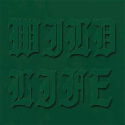Assembler - Wild Life download mp3 flac