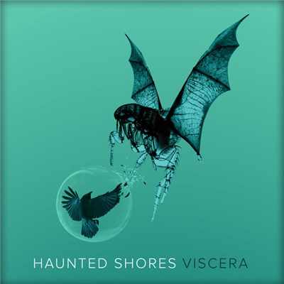 Haunted Shores - Viscera download mp3 flac