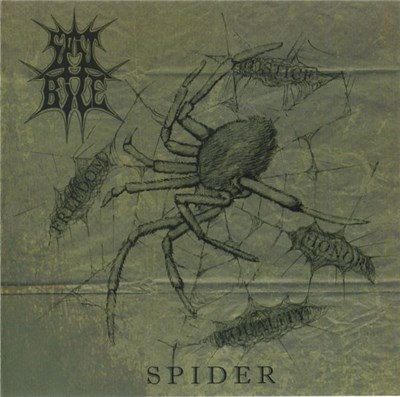 Spit Bile - Spider download mp3 flac