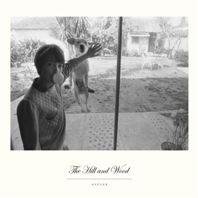 The Hill And Wood - Opener download mp3 flac