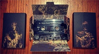 ◯ - When Plants Turn Into Stones download mp3 flac