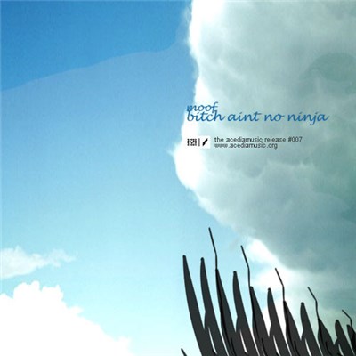 Moof - Bitch Aint No Ninja download mp3 flac