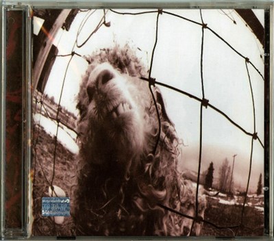 Pearl Jam - Vs. download mp3 flac