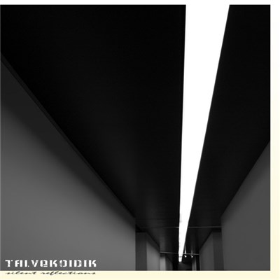 Talvekoidik - Silent Reflections download mp3 flac