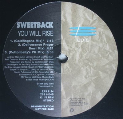 Sweetback - You Will Rise download mp3 flac