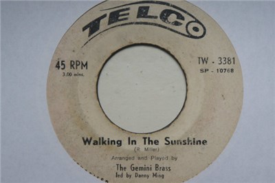 The Gemini Brass - Walking In The Sunshine download mp3 flac