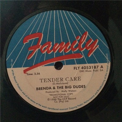 Brenda & The Big Dudes - Tender Care / Hold Me download mp3 flac