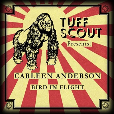 Carleen Anderson - Bird In Flight download mp3 flac