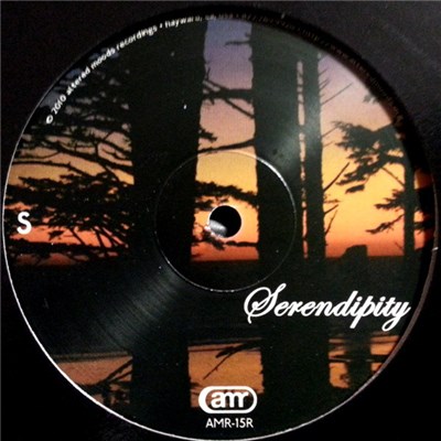 Serendipity - See The Beauty download mp3 flac