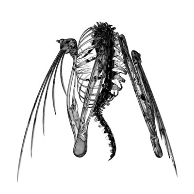Lotic - Heterocetera download mp3 flac