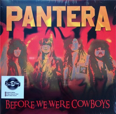 Pantera - Before We Were Cowboys download mp3 flac
