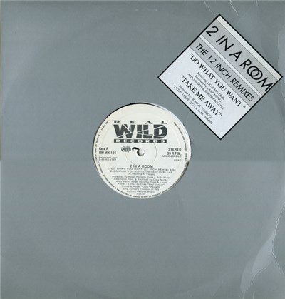 2 In A Room - Do What You Want / Take Me Away download mp3 flac