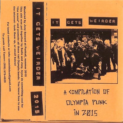 Various - It Gets Weirder - A Compilation Of Olympia Punk In 2015 download mp3 flac