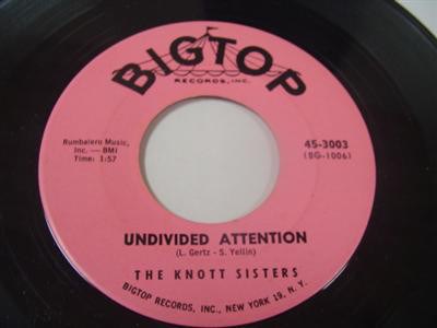 The Shades Featuring The Knott Sisters - Sun Glasses / Undivided Attention download mp3 flac