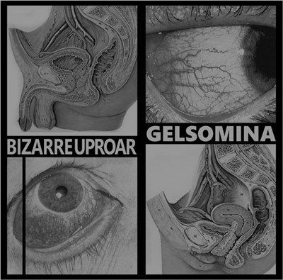 Gelsomina / Bizarre Uproar - Älä Tee Huorin download mp3 flac