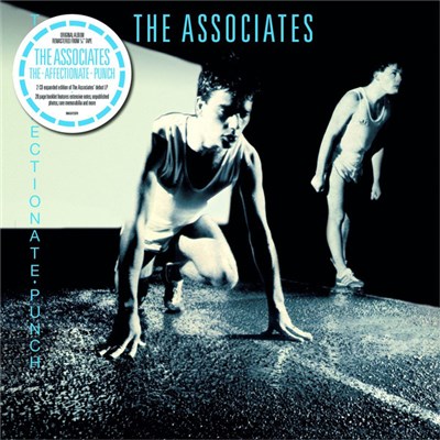 The Associates - The Affectionate Punch download mp3 flac