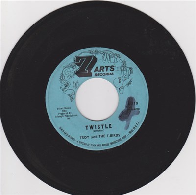 Troy And The T-Birds - Take Ten / Twistle download mp3 flac