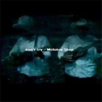 don't try - Molotov Shop download mp3 flac