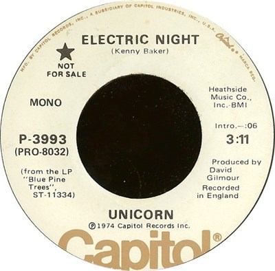Unicorn - Electric Night download mp3 flac