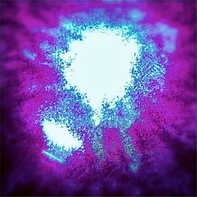 b4kn - Enter The Thicket download mp3 flac