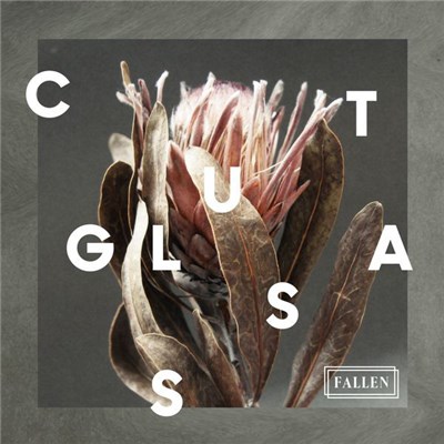 Cut Glass - Fallen download mp3 flac