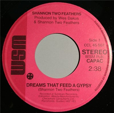 Shannon Two Feathers - Dreams That Feed A Gypsy / Smile download mp3 flac