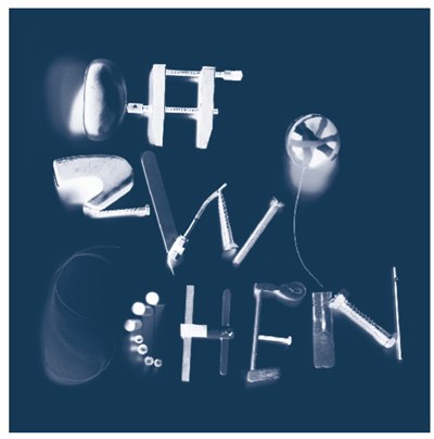 Sebastian Lexer - Dazwischen download mp3 flac