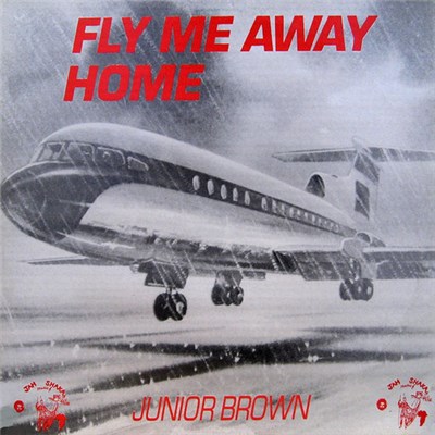 Junior Brown - Fly Me Away Home download mp3 flac