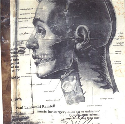Paul Lanowski Ramtell - Music For Surgery download mp3 flac