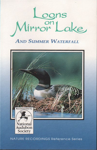 No Artist - Loons On Mirror Lake And Summer Waterfall download mp3 flac