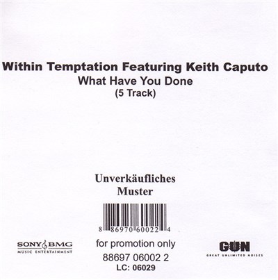 Within Temptation Featuring Keith Caputo - What Have You Done download mp3 flac