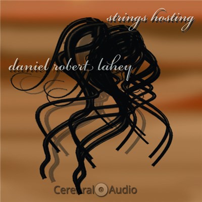Daniel Robert Lahey - Strings Hosting download mp3 flac