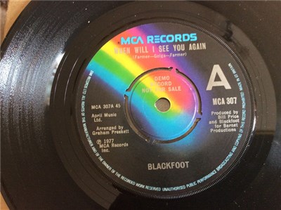 Blackfoot - When Will I See You Again download mp3 flac