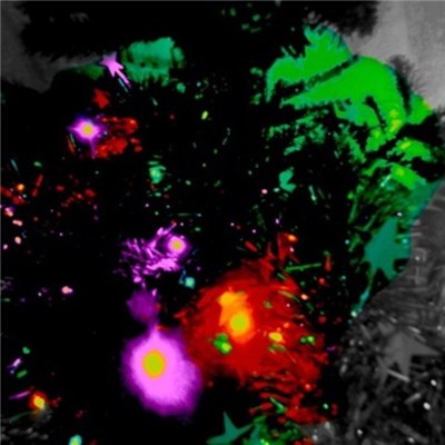 Legendary Pink Dots - The Legendary Pink Dots' Christmas Album (2013) download mp3 flac