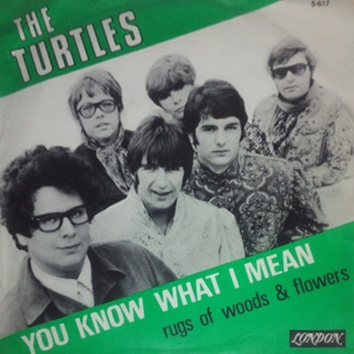 The Turtles - You Know What I Mean / Rugs Of Woods & Flowers download mp3 flac