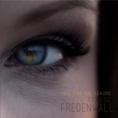 Terese Fredenwall - Inte För En Sekund download mp3 flac