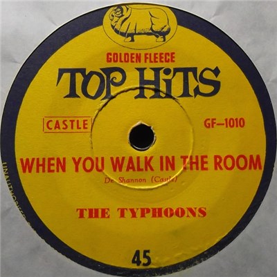 The Typhoons, Joan Baxter - When You Walk In The Room download mp3 flac