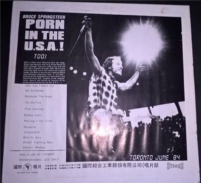 Bruce Springsteen - Porn In The U.S.A.! Too! download mp3 flac