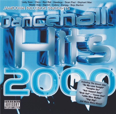 Various - Dancehall Hits 2000 download mp3 flac
