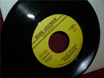 Precious Wilson / Clyde McPhatter / Clyde McPhatter - Hold On, I'm Coming / Who's Worried Now download mp3 flac
