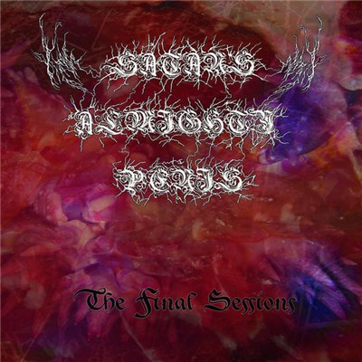 Satan's Almighty Penis - The Final Sessions download mp3 flac