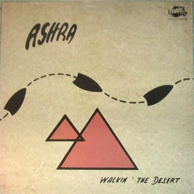 Ashra - Walkin' The Desert download mp3 flac