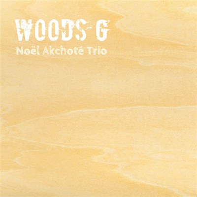 Noël Akchoté Trio - Woods G download mp3 flac