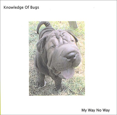 Knowledge Of Bugs - My Way No Way download mp3 flac