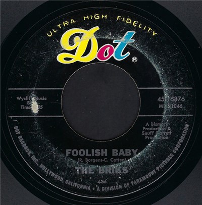 The Briks - Foolish Baby / Can You See Me download mp3 flac