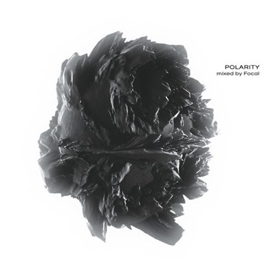 Focal - Polarity download mp3 flac