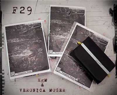 HgM / Veronica Moser - F29 download mp3 flac