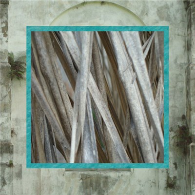 Pillars And Tongues - (Laid) Palms To Tell download mp3 flac